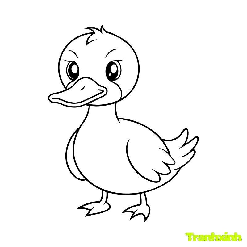 tranh tô màu con vịt tức giận