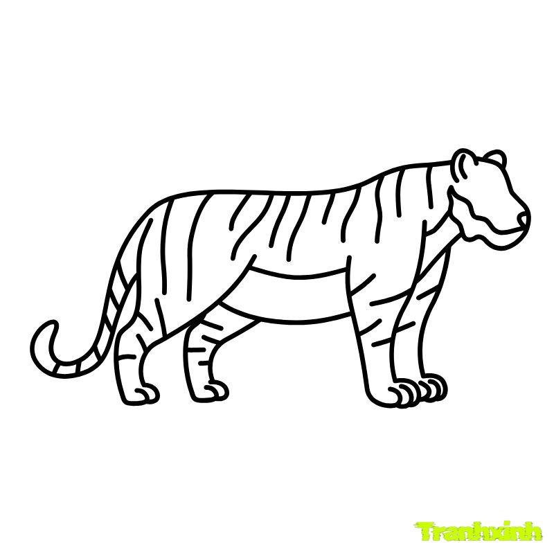 tranh tô màu hình con hổ