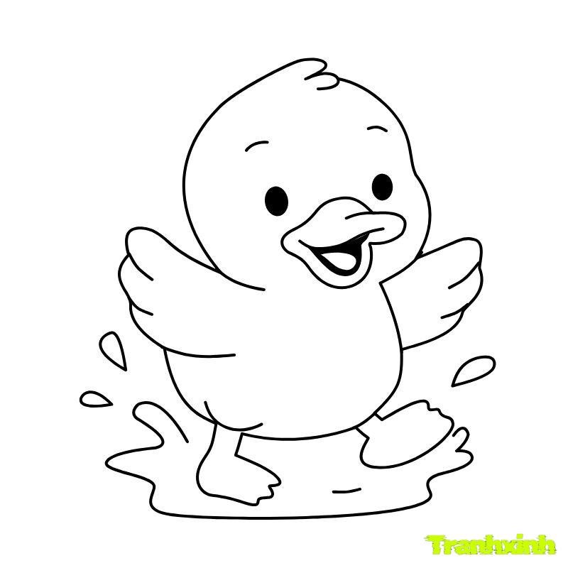 tranh tô màu vịt