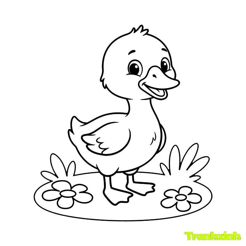 tranh tô màu vịt con