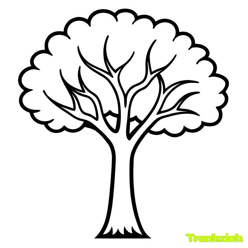 vẽ tô màu cây xanh